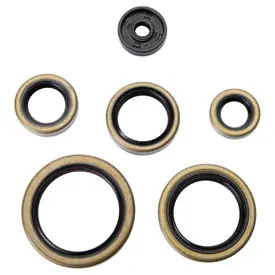 While Supplies Last Tusk Engine Oil Seal Kit