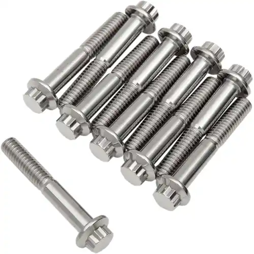 Time-Limited Diamond 12-Point Stainless Steel Bolts