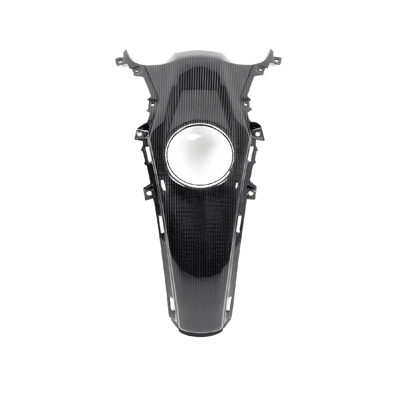 Carbon Fiber Tank Center Panel by Ilmberger Carbon BMW / R1250R / 2021 Limited Time